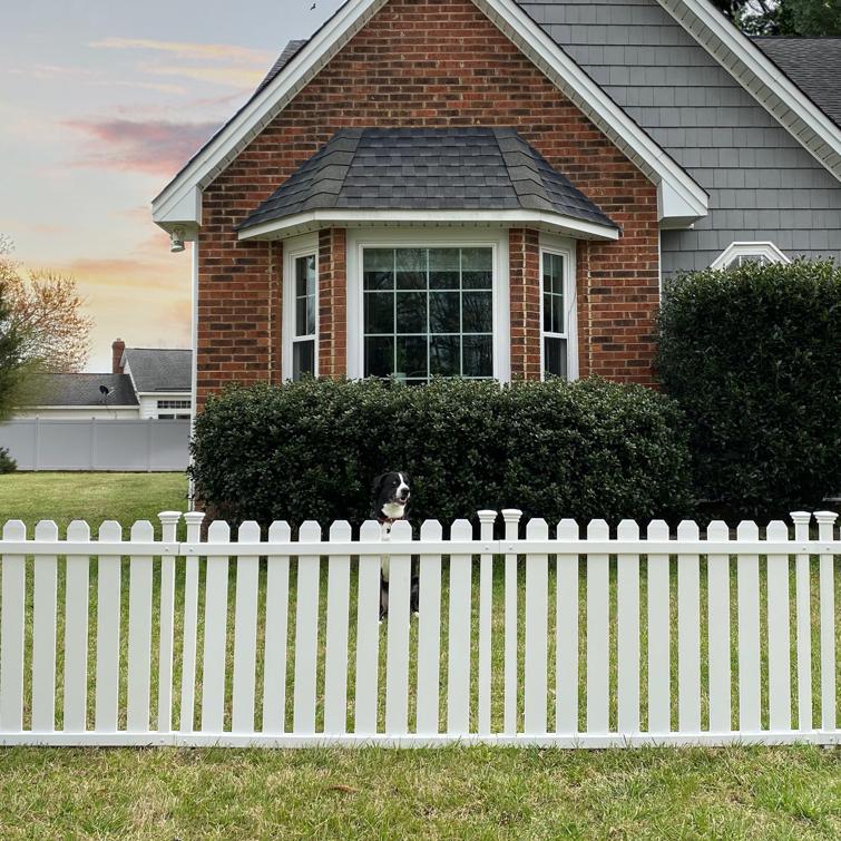 jnhearts ベルベットGarden Mini 2点セット jnhearts ベルベットGarden Mini 2点セット - メルカリ